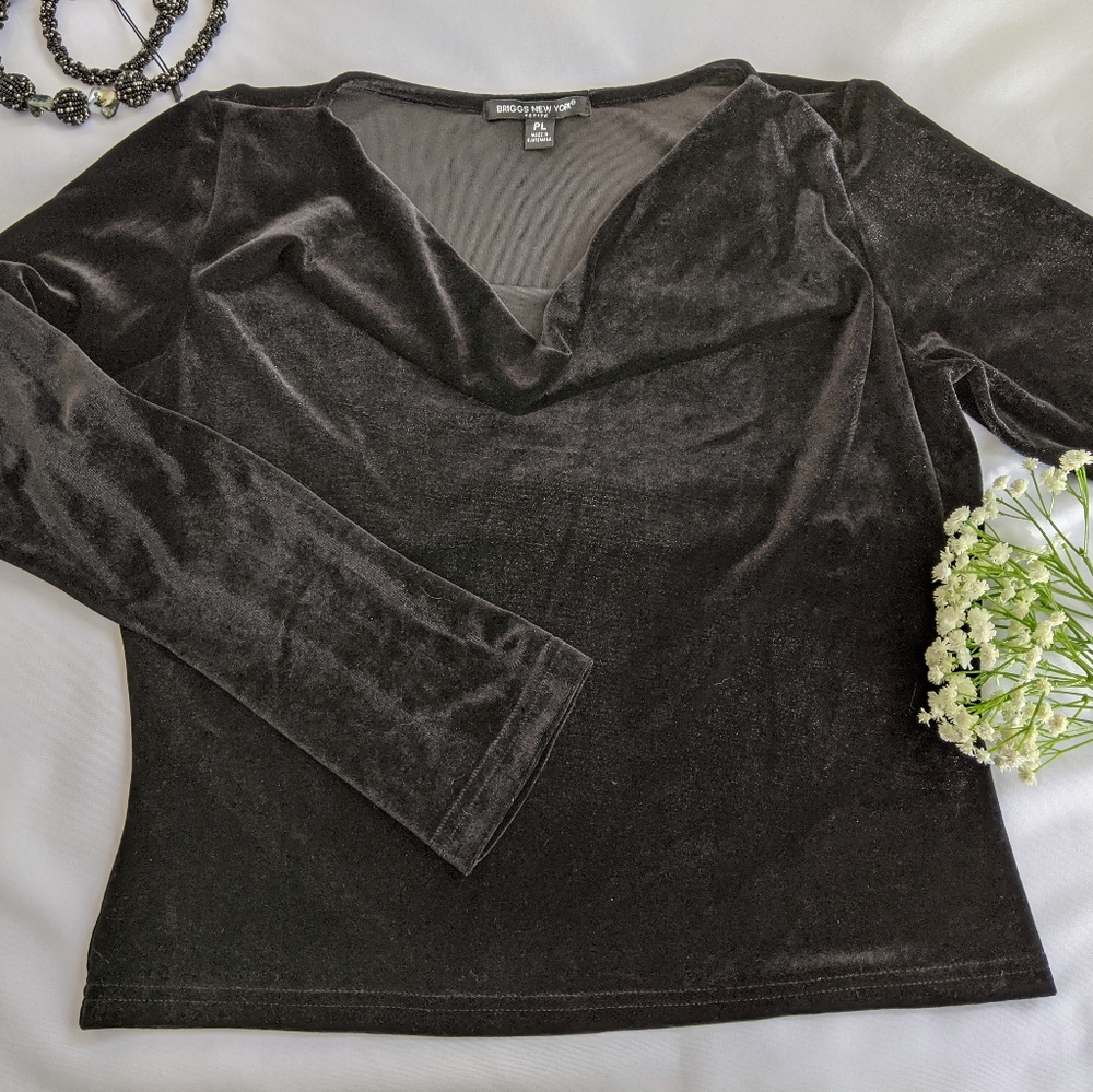 Briggs New York Long Sleeves Cowl Neck Blouse PL